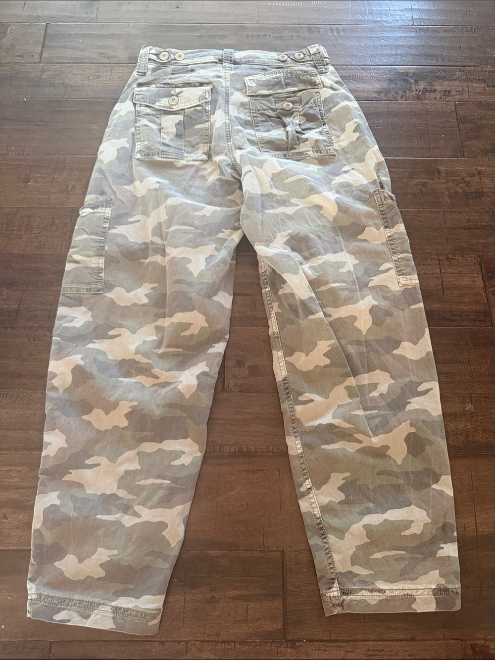 American Eagle Outfitters Men's Camo Cargo Pants - Light Green & Tan